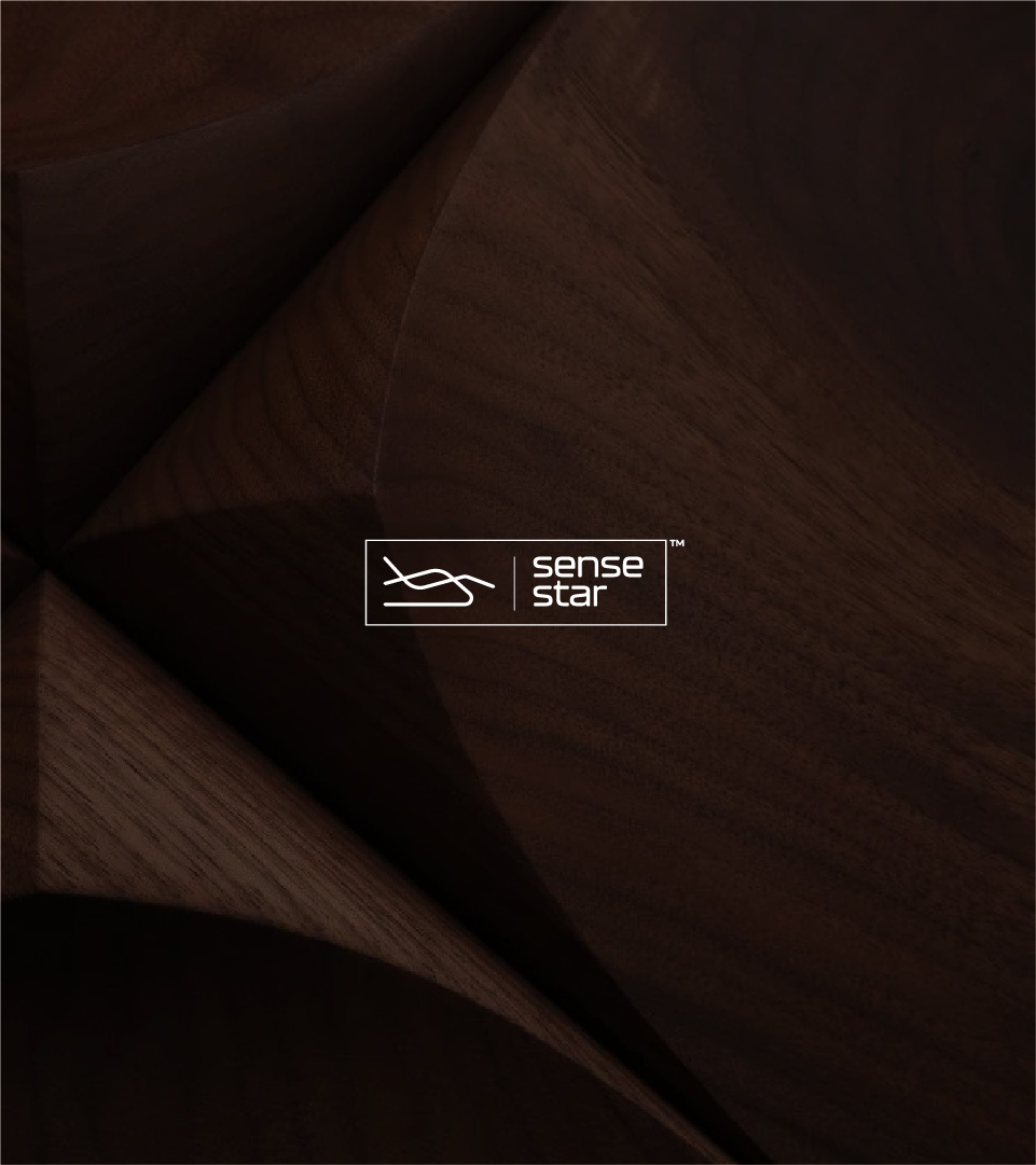 Sense Star Web Development by Pieweb Logo Designer in Dubai | Website designers, Web Developer, Branding, UI designer in Dubai UAE